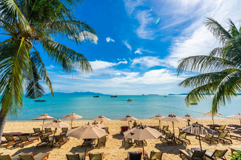 Beautiful tropical beach sea and ocean with coconut palm tree  a