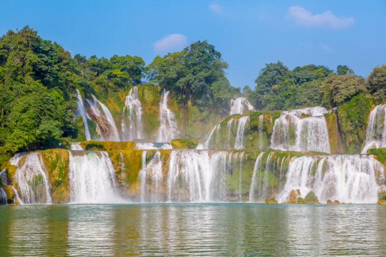 beautiful-water-fresh-forest-beauty-tropical